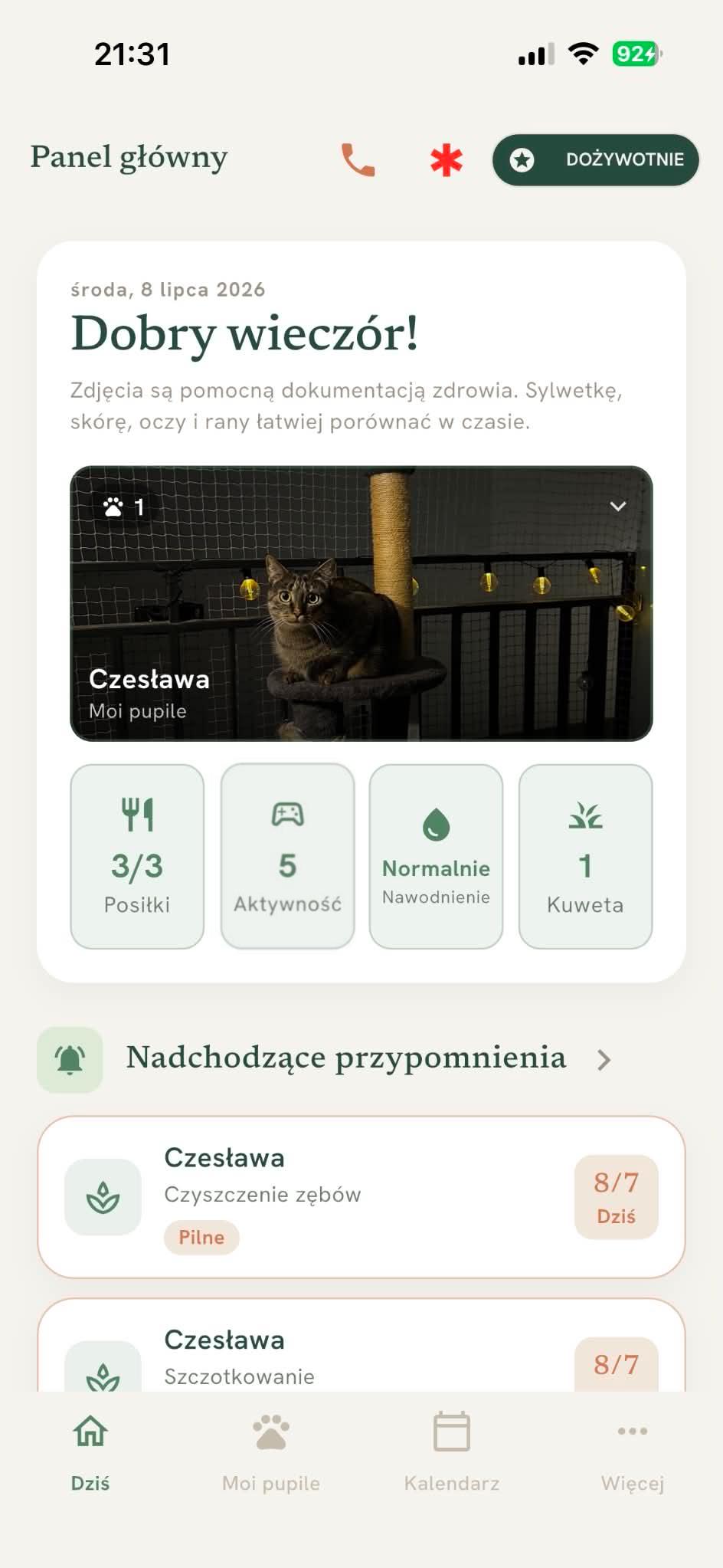 ApkaŁapka: panel Dziś